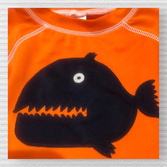 Gymboree | Shark / Fish | Appliqué | Rash Guard - Picture 3 of 4